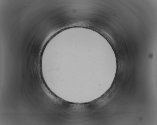 X0000092100800200710101120