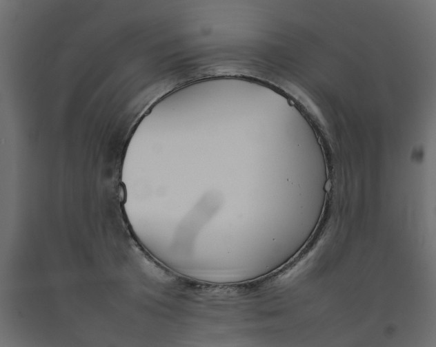 X0000092100801200710101120