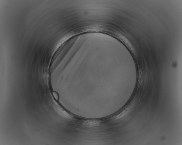 X0000092100802200710101120