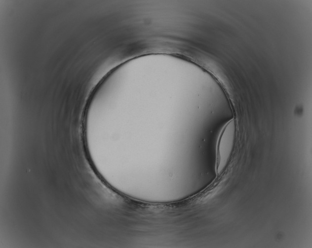 X0000092100803200710101120