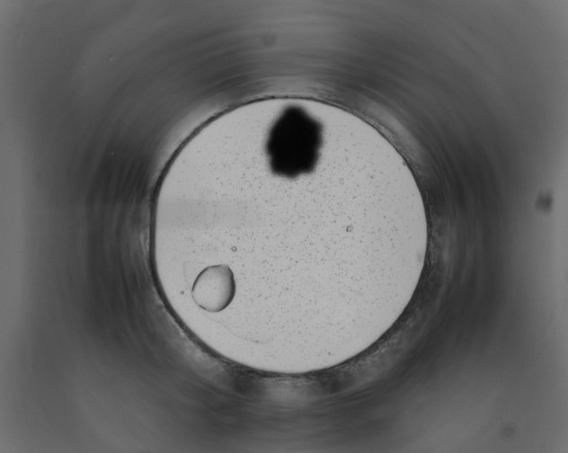 X0000092100804200710101120