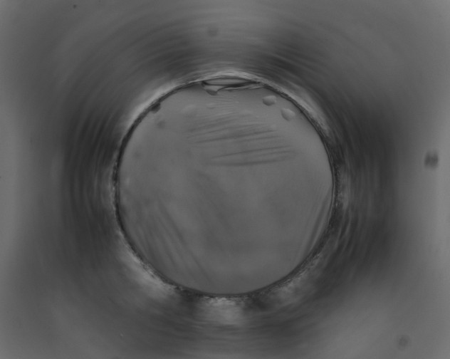 X0000092100806200710101120