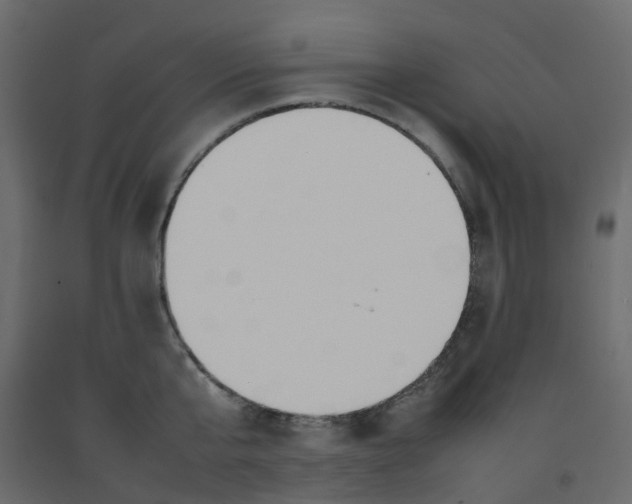 X0000092100807200710101120