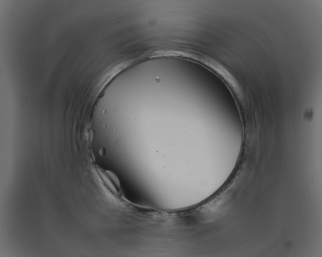 X0000092100809200710101120