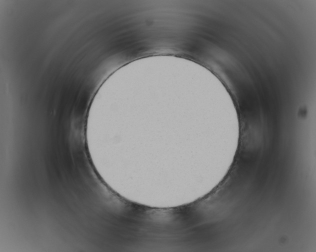 X0000092100810200710101120