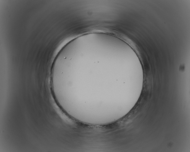 X0000092100811200710101120