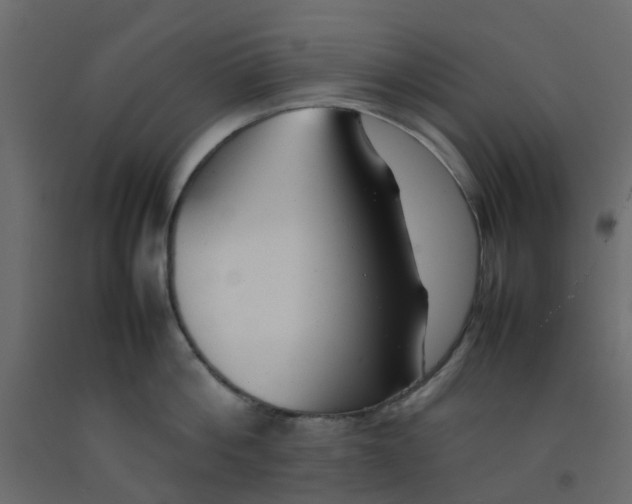 X0000092100812200710101120