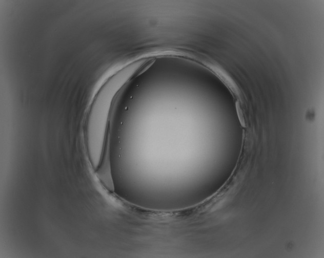 X0000092100813200710101120