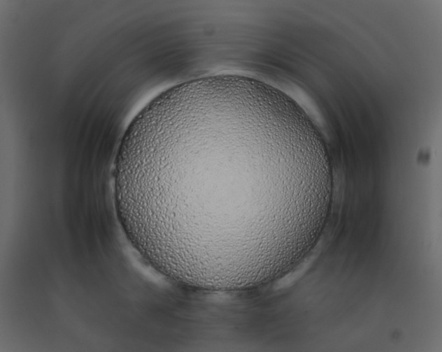 X0000092100814200710101120