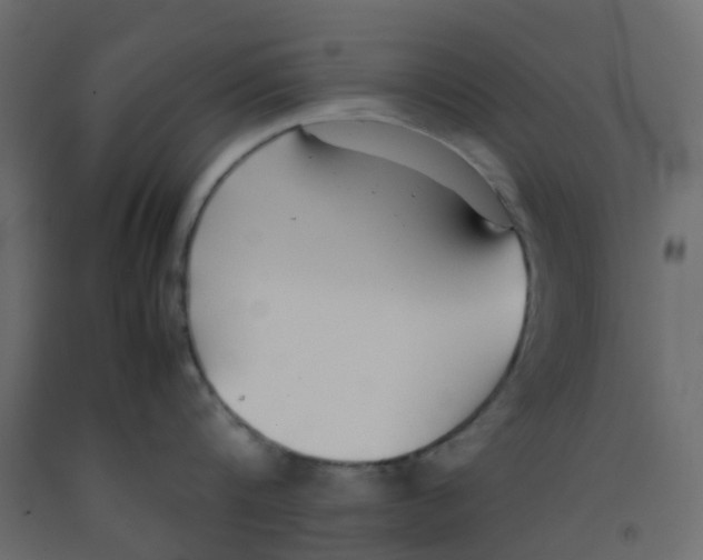 X0000092100816200710101120