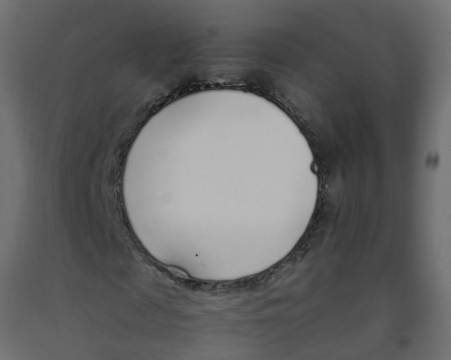 X0000092100817200710101120