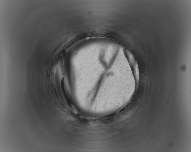 X0000092100818200710101120