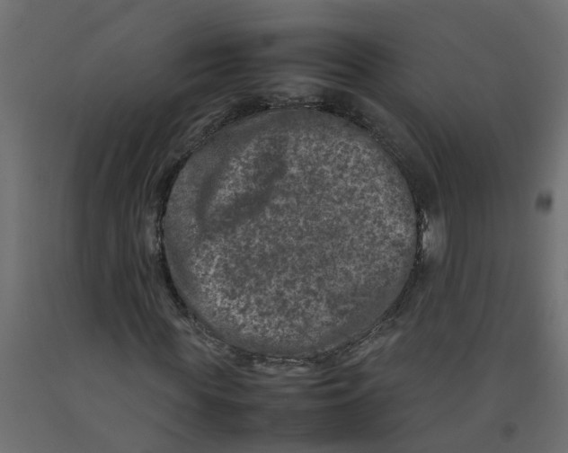 X0000092100819200710101120