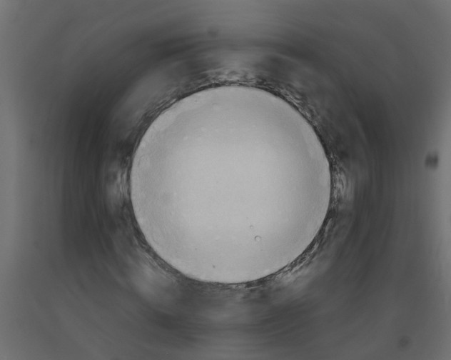 X0000092100820200710101120