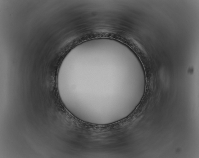 X0000092100821200710101120