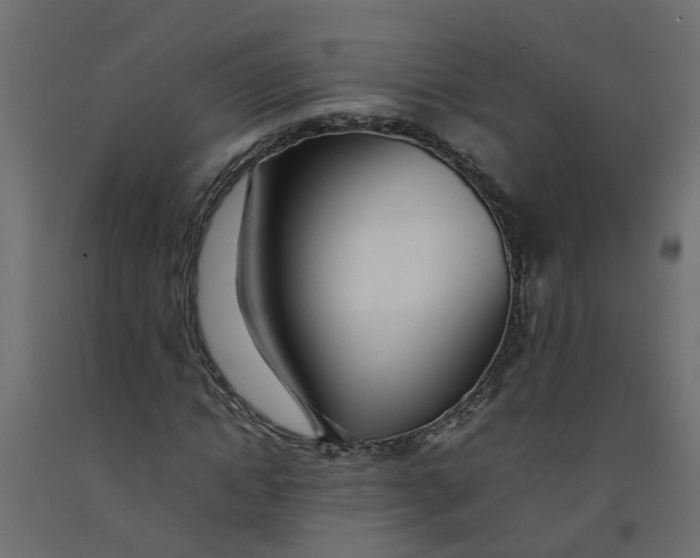 X0000092100822200710101120