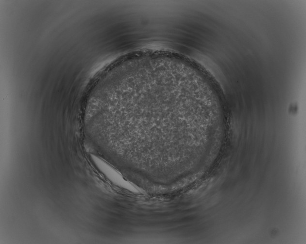 X0000092100823200710101120