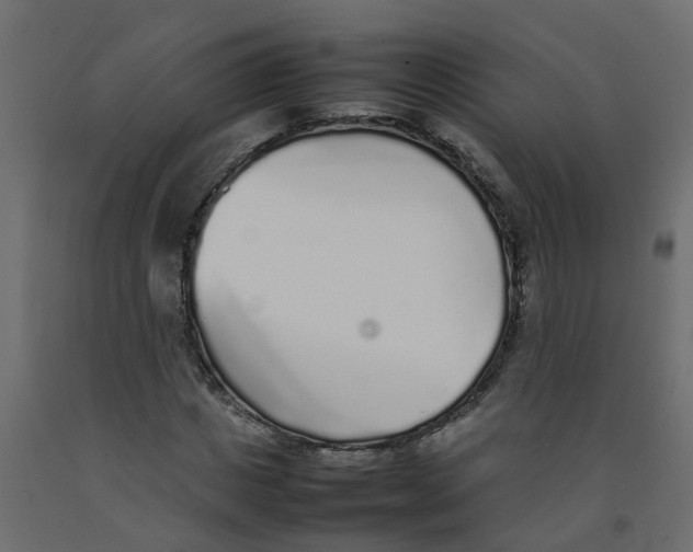 X0000092100825200710101120