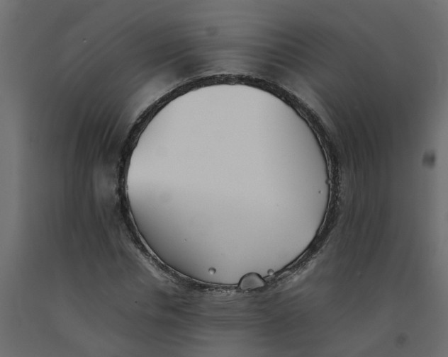 X0000092100826200710101120