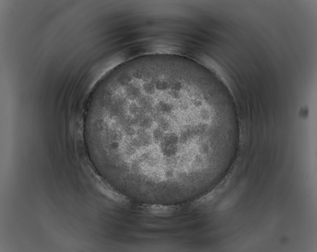 X0000092100827200710101120