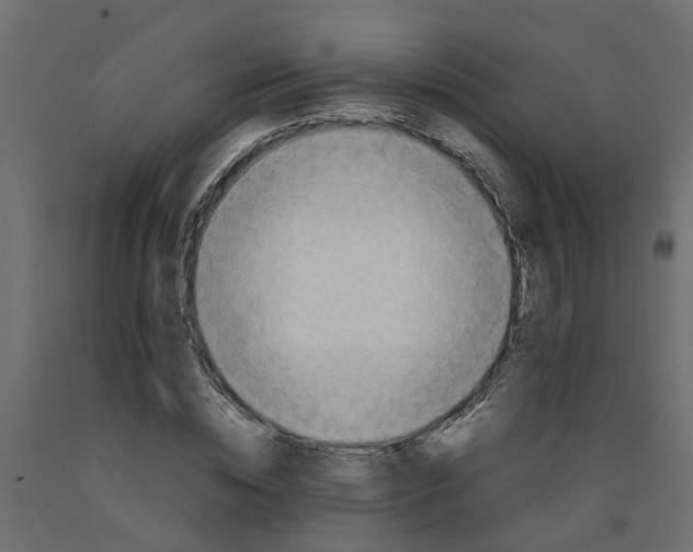 X0000092100828200710101120