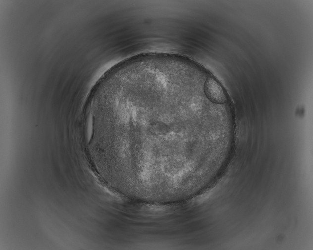 X0000092100829200710101120