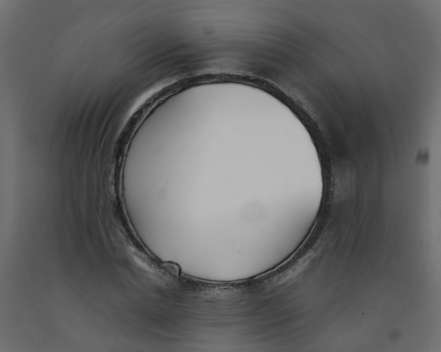 X0000092100830200710101120