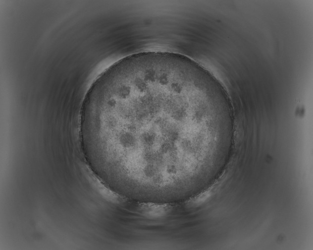 X0000092100831200710101120