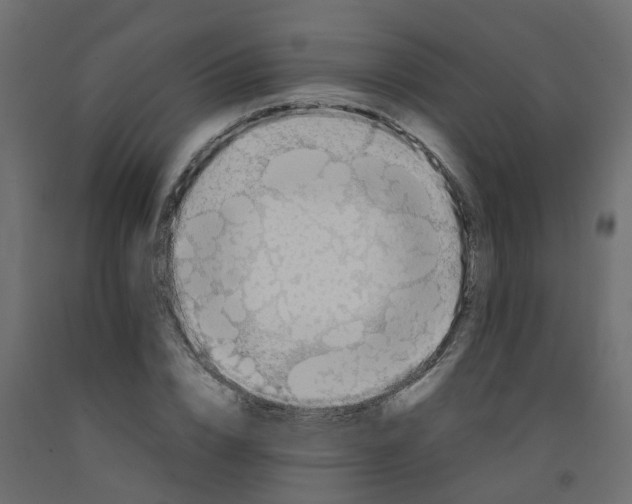 X0000092100832200710101120