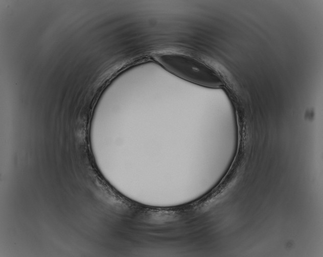 X0000092100833200710101120