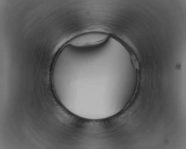 X0000092100834200710101120