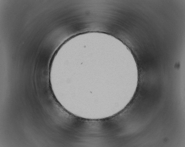 X0000092100836200710101120