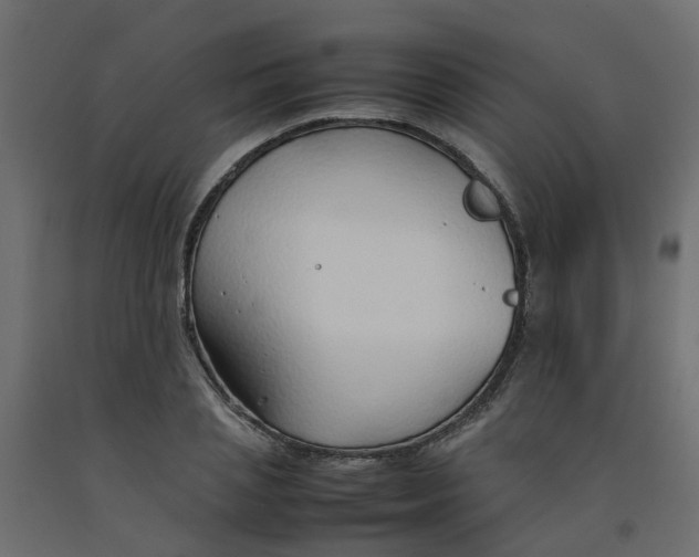 X0000092100837200710101120