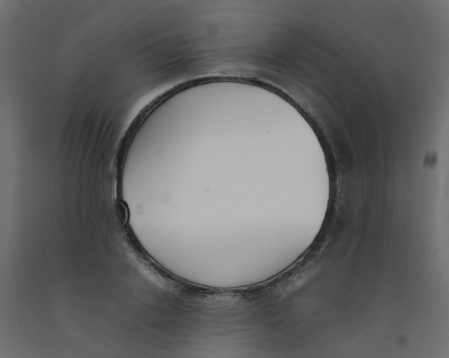 X0000092100838200710101120