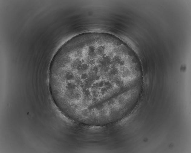 X0000092100839200710101120