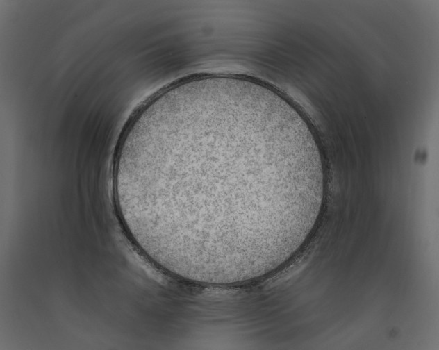 X0000092100840200710101120