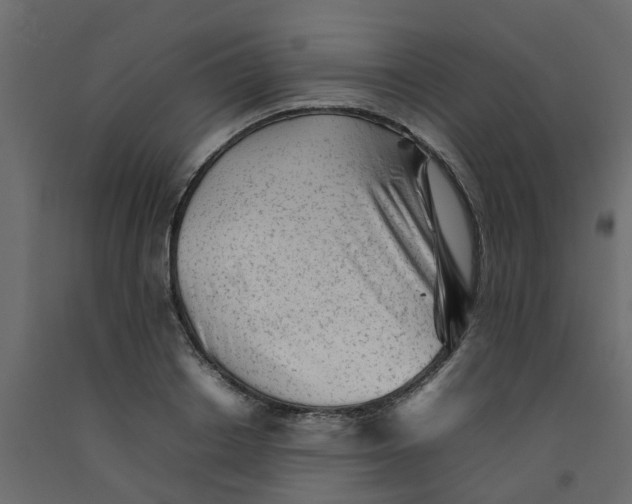 X0000092100842200710101120