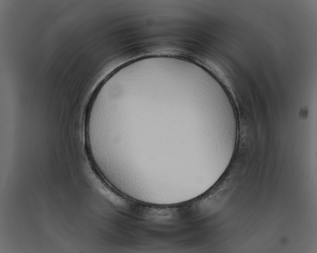 X0000092100843200710101120