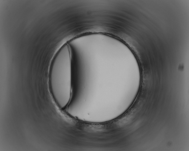 X0000092100845200710101120