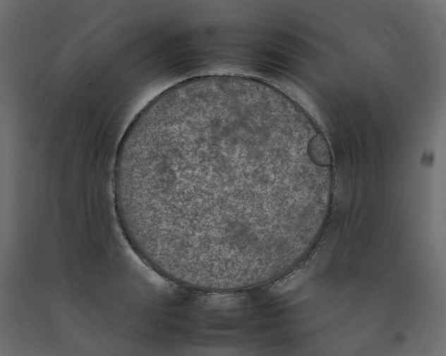 X0000092100847200710101120