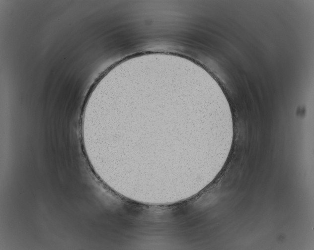 X0000092100848200710101120