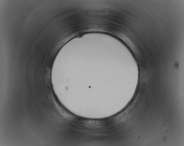 X0000092100849200710101120