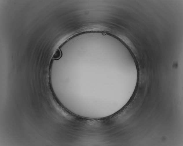 X0000092100850200710101120