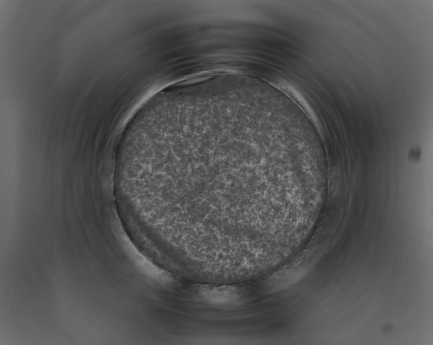 X0000092100851200710101120