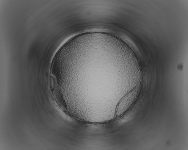 X0000092100852200710101120