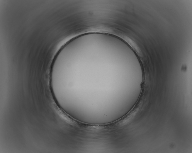 X0000092100854200710101120