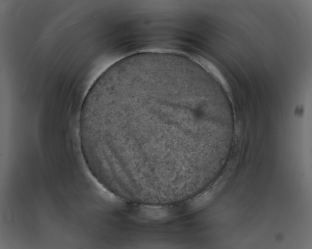 X0000092100855200710101120