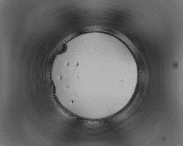 X0000092100857200710101120