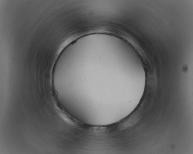 X0000092100858200710101120