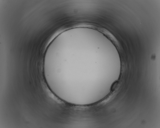 X0000092100860200710101120